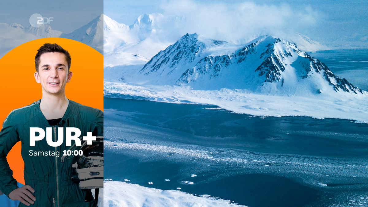 Promoad sidebar orange purplus 2