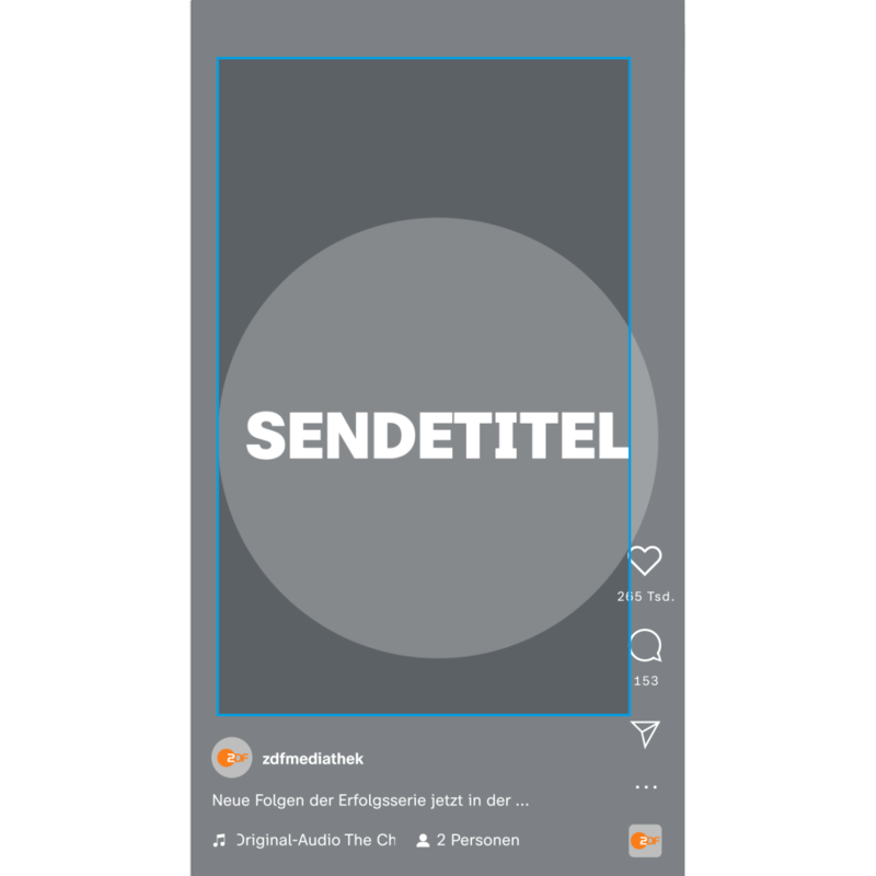 Digitalewerbemittel tiktok