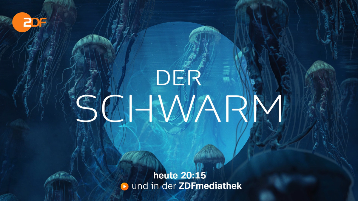 Zdf dooh bsp stationvideo
