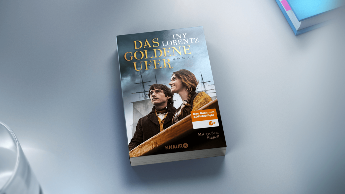 Bp merchandising cd-dvd 05